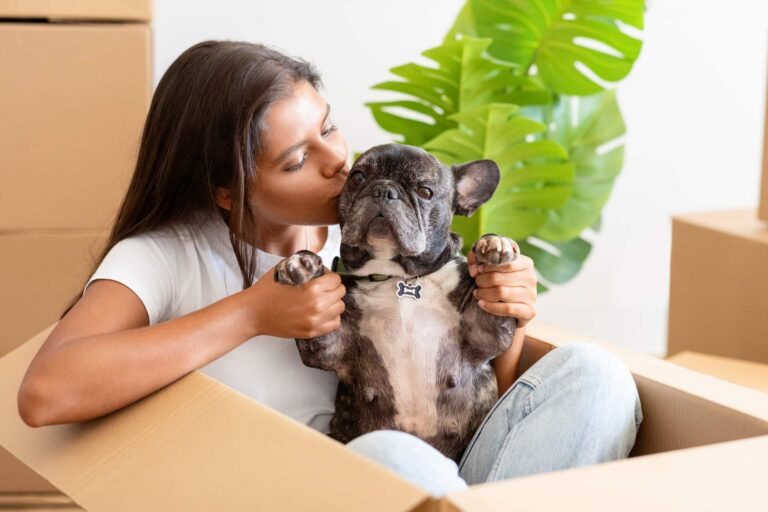 Déménager avec des animaux de compagnie : 4 conseils pour une transition en douceur